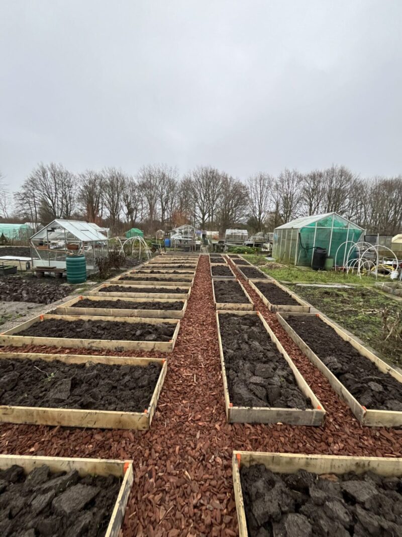 Beetrahmen Holz Beeteinfassung Kastanienholzbretter
