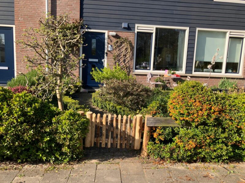 Staketenzaun-Tor 50 cm hoch, 80 cm breit