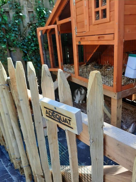 Kaninchenzaun aus Holz: Staketenzaun am Kaninchengehege