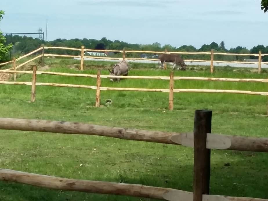 Staketenzaun Tor – Doppeltor | Günstig kaufen | Adéquat Kastanienholz