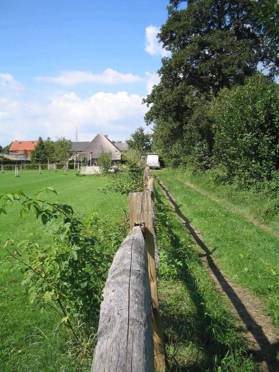 Pfosten Kastanie - Halbrund - System 2