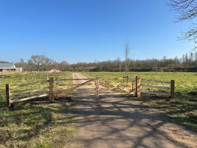 Doppeltor Holz: Hoftor rustikal Kastanie doppelt