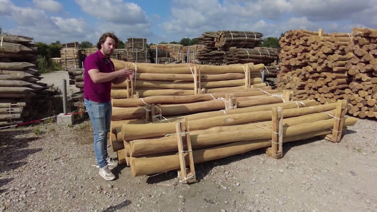 Pergola Holz kaufen