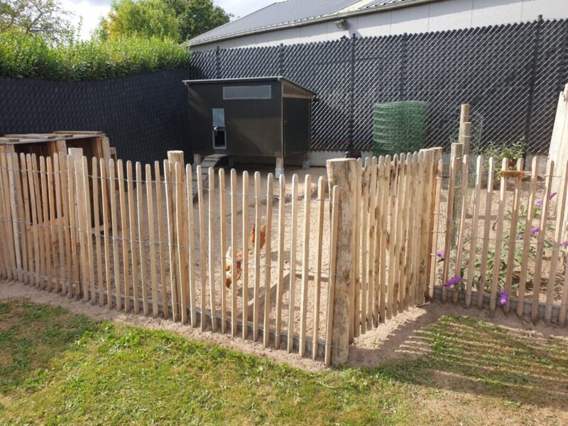 Staketenzaun Robinie 120 cm hoch Hühner-Zaun
