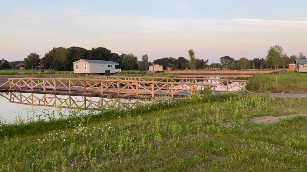 Holzpfahl Robinie: geschält und geschliffen