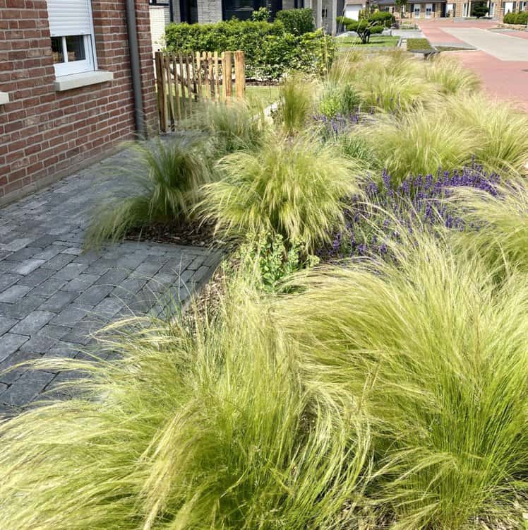 Staketenzaun Tor von 100 cm mal 100 cm als Durchgang für einen Garten