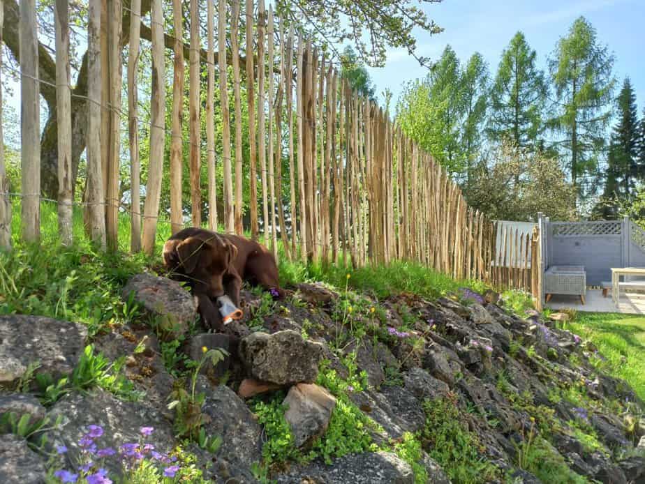 Kastanienzaun 1,50 Meter hoch mit 6 cm Lattenabstand