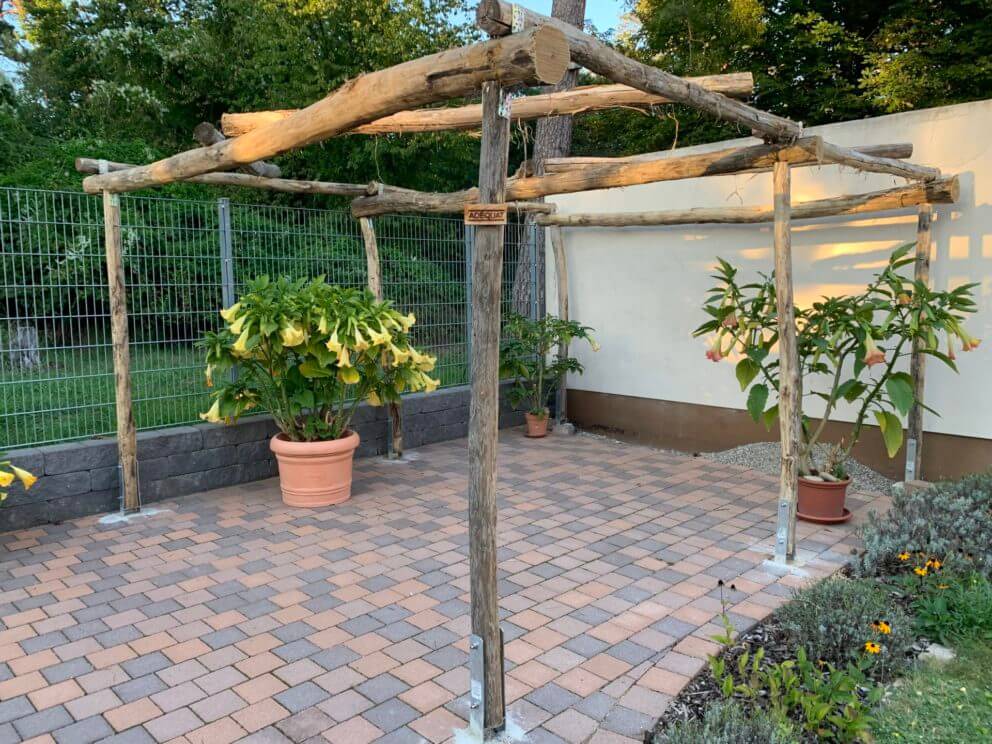 Pergola aus Robinienpfosten 250 cm und 300 cm lang, 8-10 Durchmesser und 400 cm lang, 10-12 cm Durchmesser