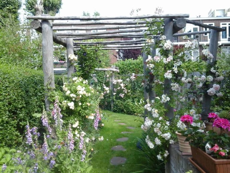 Rankhilfe f. Rosen: Pergola aus Holz mit stehenden Pfosten aus Robinie, liegenden Pfähle aus Edelkastanie