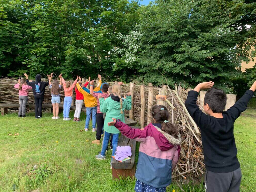 Die Benjeshecke mit den Adequat-Holzpfählen Robinien 200 cm lang, diam. 10-12 cm entstand im Schulgarten an eines Schulprojektes.