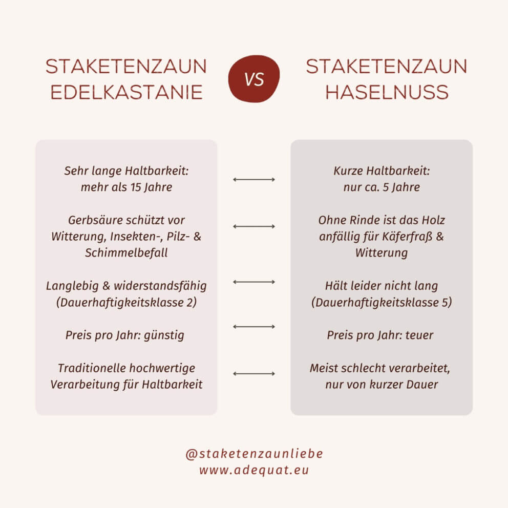 Staketenzaun Haselnuss oder Kastanie - Edelkastanie