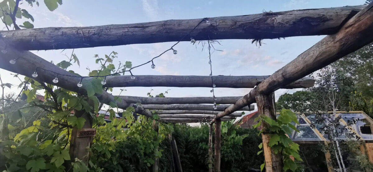 Lichterkette an Pergola im Garten befestigen