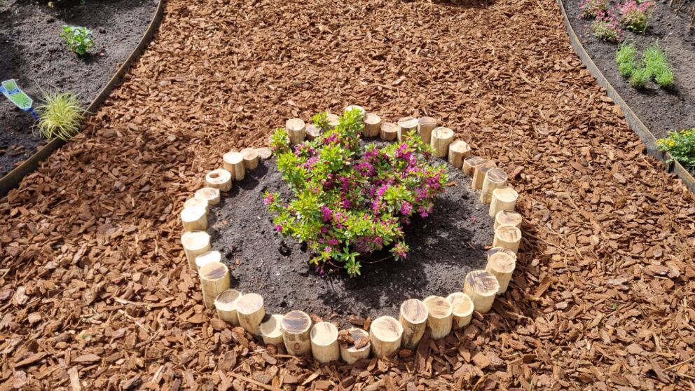 Baumumrandung Idee: Baumbeet einfassen mit Holz: Pfähle aus Robinie 8-10 cm Ø