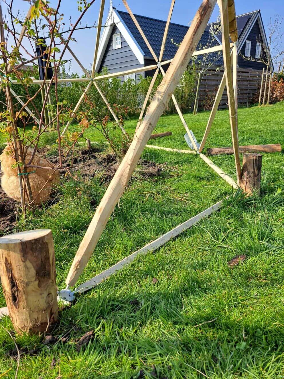 Ein Geodom aus Holz bauen: Kastanienpfähle dienen als Füße