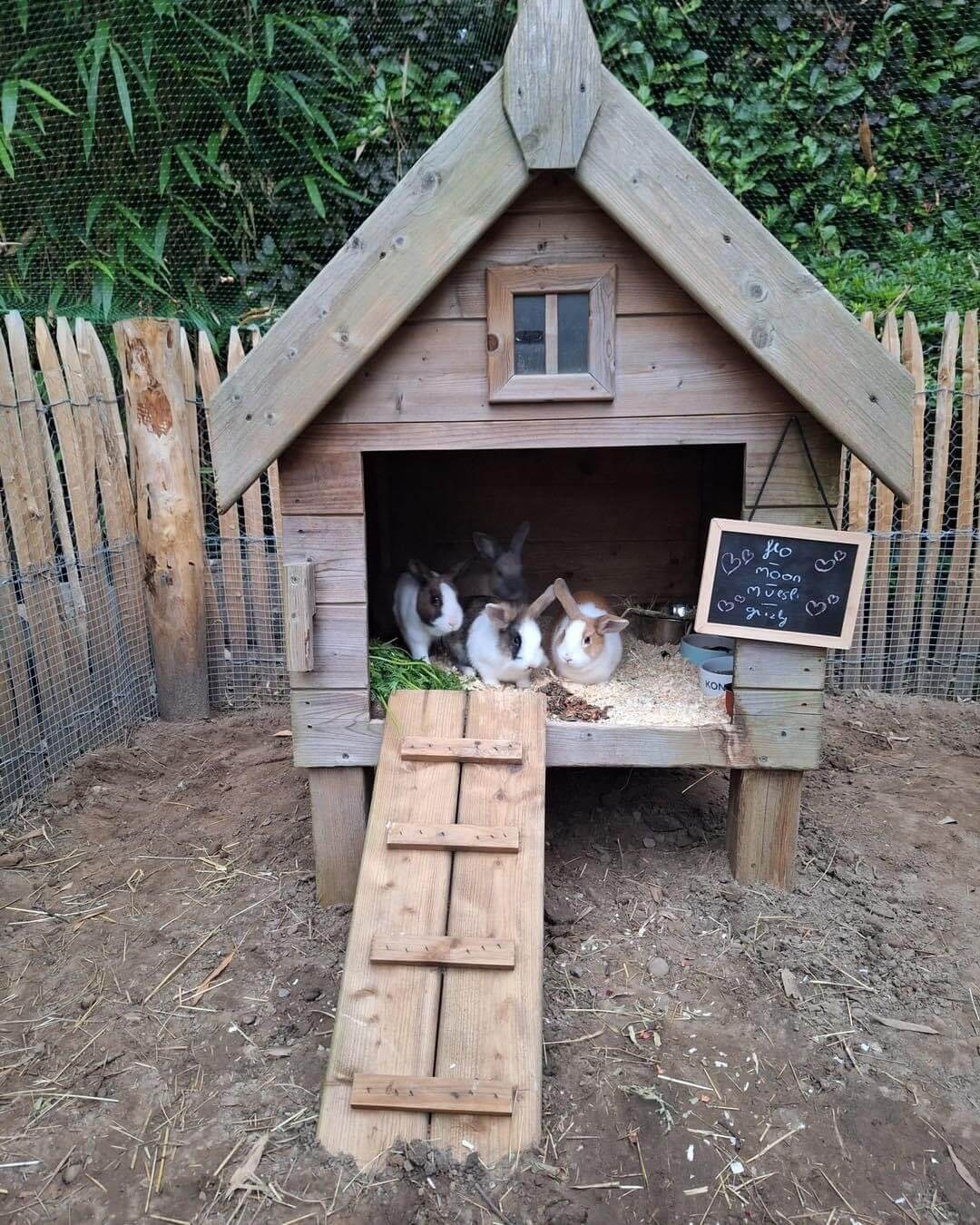 Kaninchenzaun Holz bauen Kaninchengehege