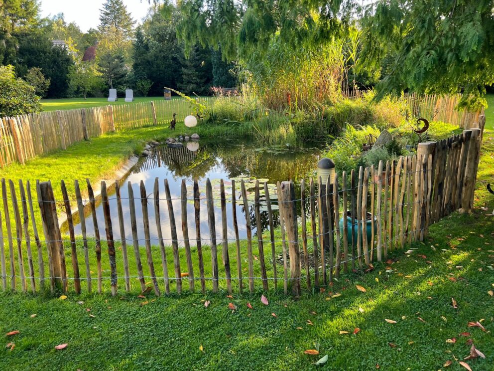 Eingezäunter Teich: Staketenzaun Kastanie 100 cm hoch, Abstand 6 cm mit Robinienpfosten 160 cm Länge, Durchmesser 8/10 cm mit Französische Staketenzaun Tor 100Bx100H (cm)