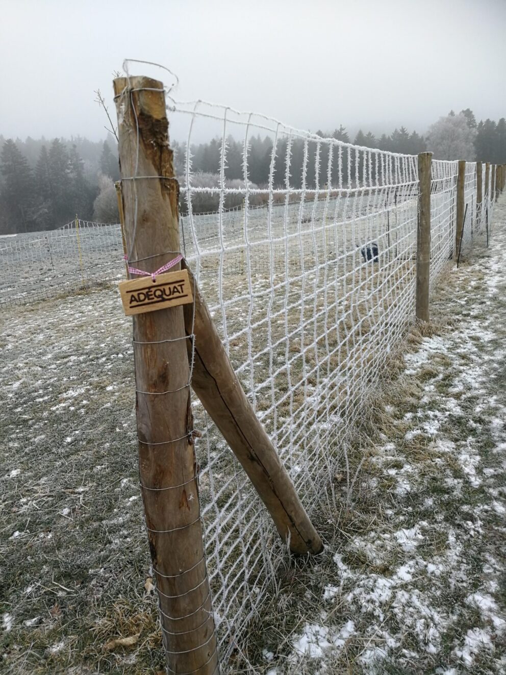 Kastanien Pfost 200 cm Länge, Durchmesser 10/12 cm