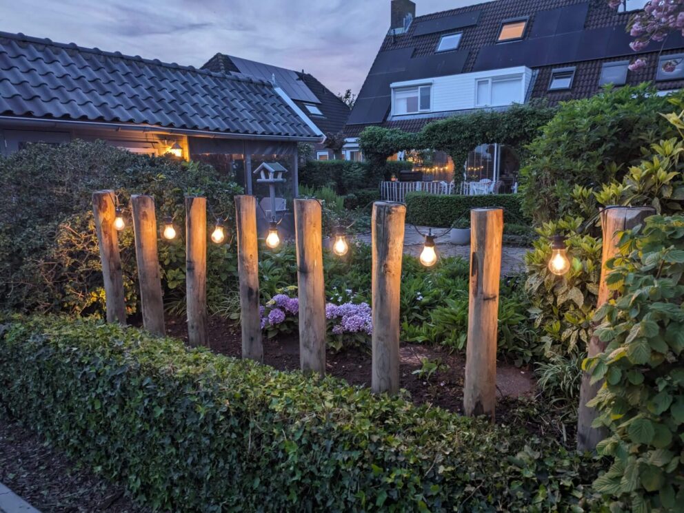 Gartenbeleuchtung Idee: Lichterkette an Robinienpfählen