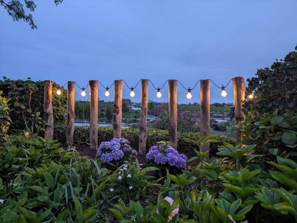 Gartenbeleuchtung: Licht an Holzpfählen