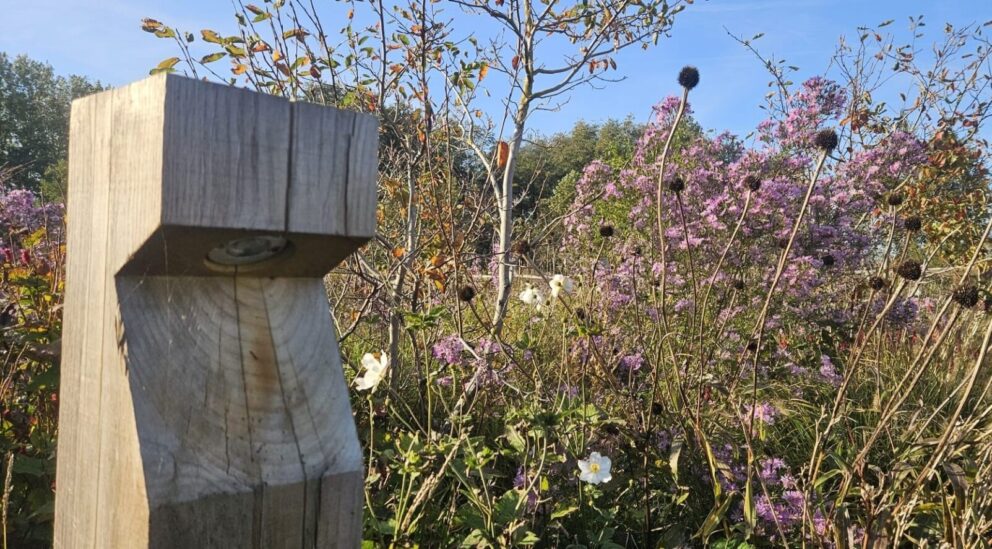 Wegeleuchte Holz Gartenleuchte Bobby