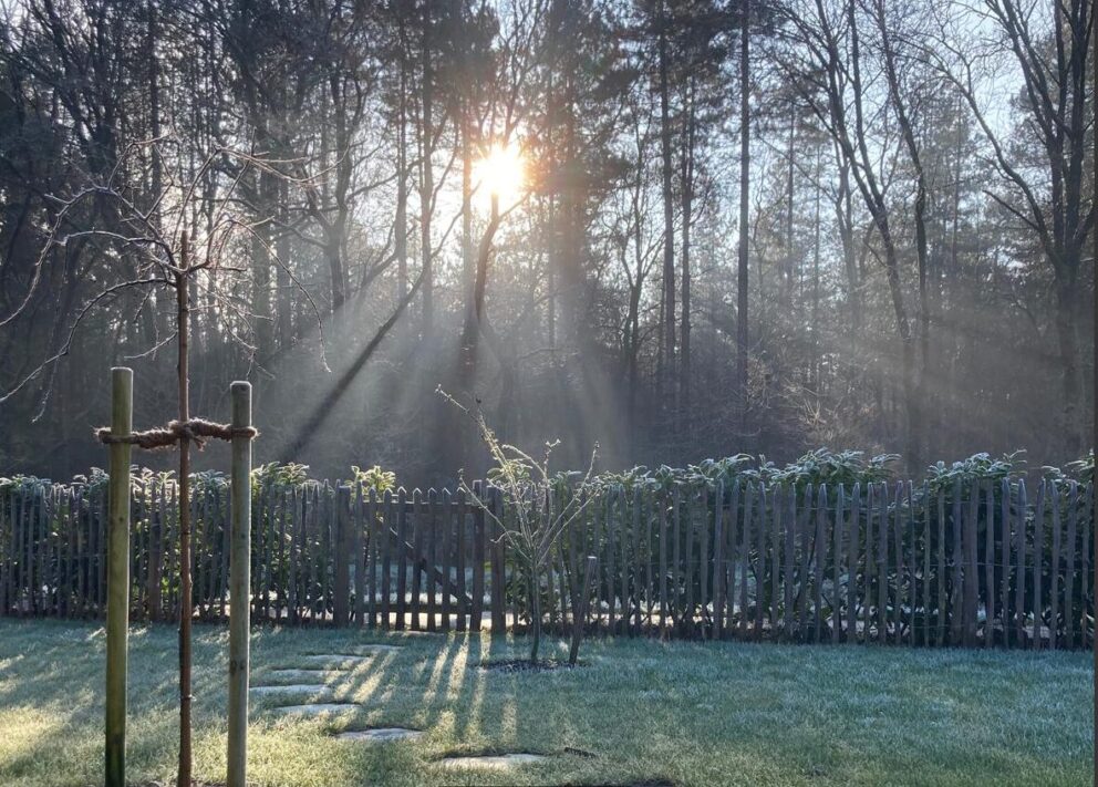 Sonne