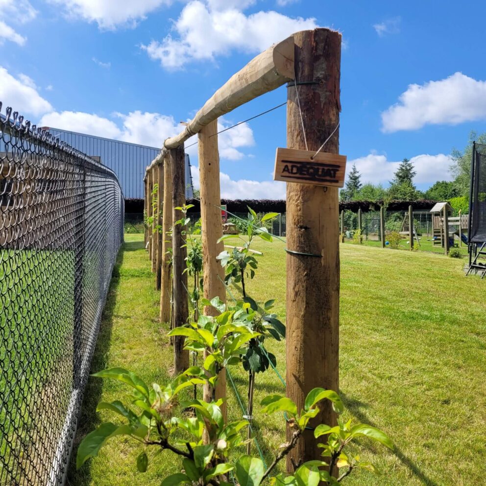 Rankhilfe Holz Kastanienpfahl