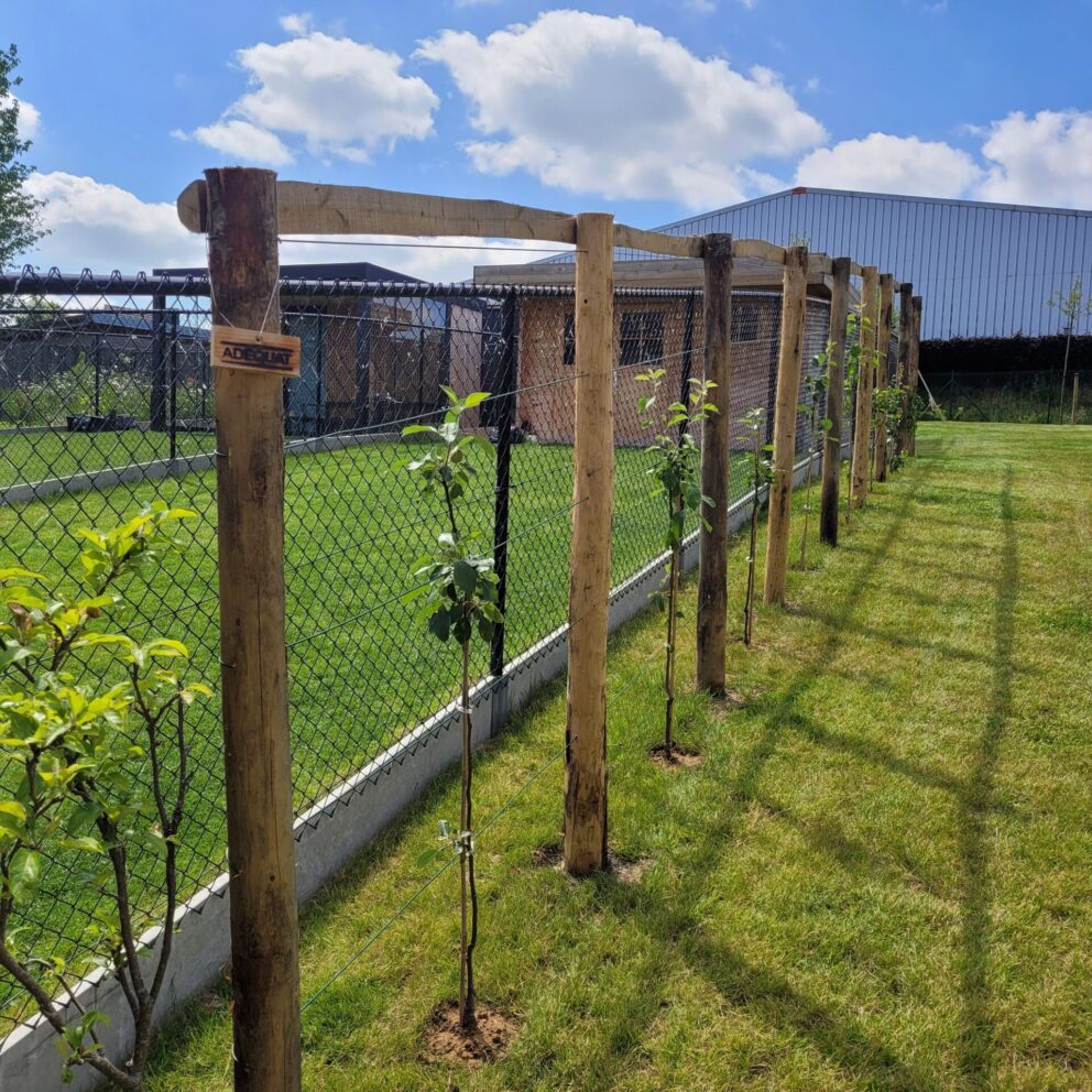 Rankhilfe Holz Kastanienpfahl