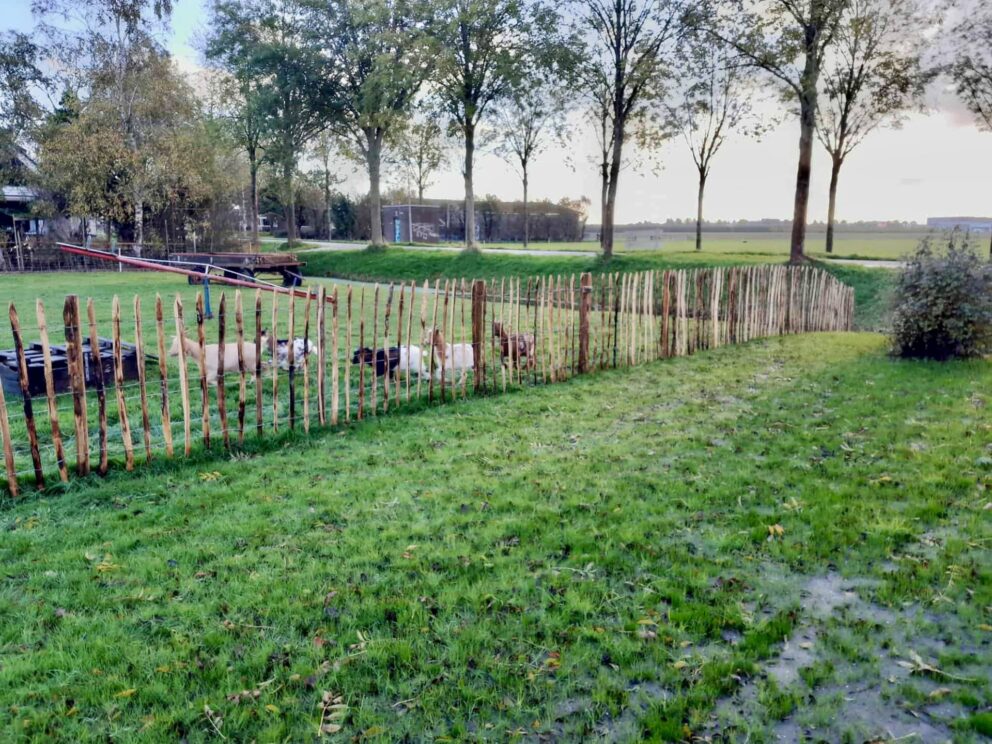 Ziegenzaun Holz Staketenzaun für Ziegen