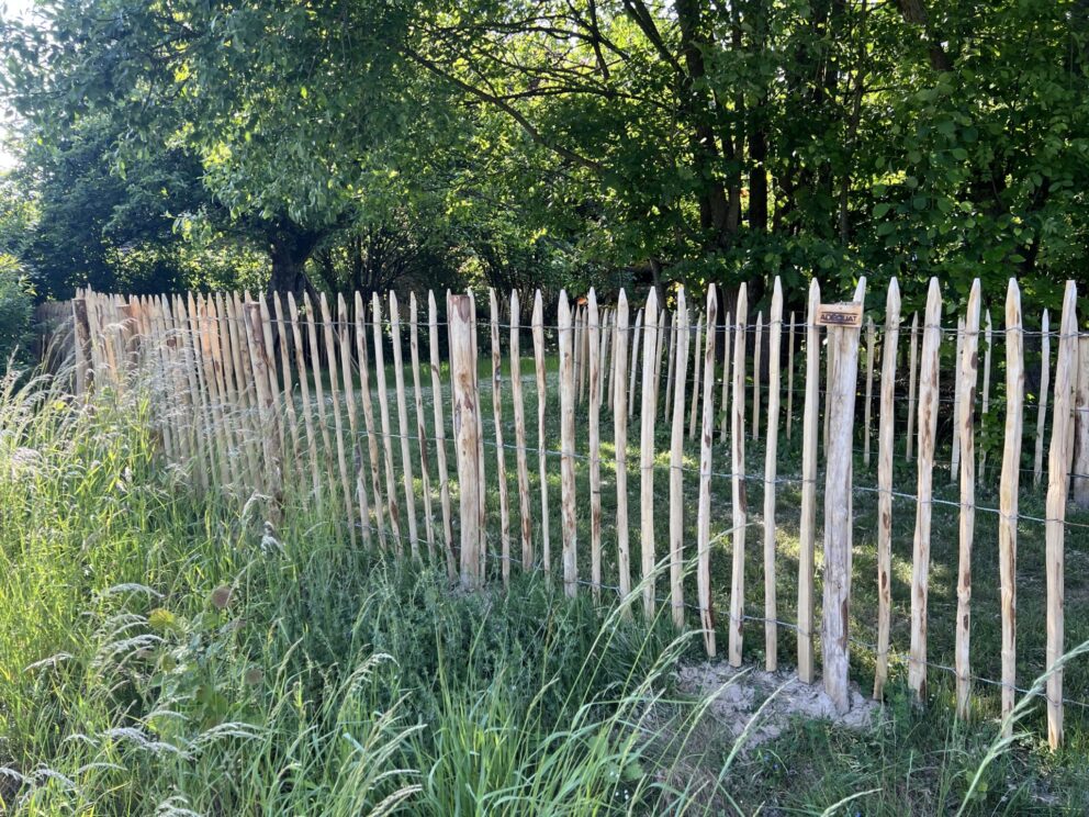 Staketenzauntor Kastanie einzeln 120Bx120H (cm), Fr. Staketenzaun Kastanien 120 cm hoch, Abstand 6 cm, 10m Rolle, Fr. Staketenzaun Kastanien 100 cm hoch, Abstand 10 cm, 1x 10m Rolle, Kastanien Pfost 200 cm lang, Ø 7-9 cm -mit Spitze, Kastanien Pfost 150/160 cm lang, Ø 7-9 cm- mit Spitze, Kastanien Pfost 200 cm lang, Ø 10-12 cm -mit Spitze, Fr. Staketenzaun Kastanien 120 cm hoch, Abstand 8 cm, 10m Rolle, Kastanien Pfost 175 cm lang, Ø 7-9 cm -mit Spitze, Staketenzauntor Kastanie einzeln 100Bx120H (cm)