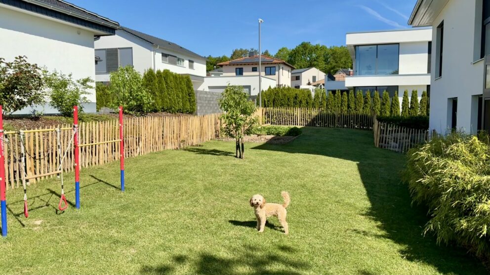 Hund im Garten mit Staketenzaun Kastanien 100 cm hoch, Abstand 6 cm mit Kastanine Pfost 150/160 cm Länge, Dürchmesser 7/9 und 10/12 cm