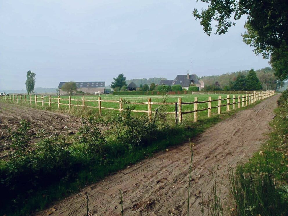 Pferdezaun Pferdewiese Koppelzaun Holz