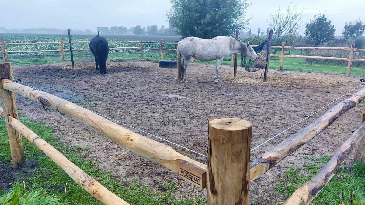 Tierzaun Pferde Koppelzaun Holz Post Rail Zaun