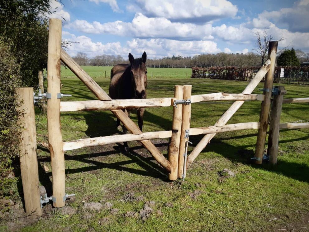 Tierzaun Weidezaun Pferde Koppelzaun Holz