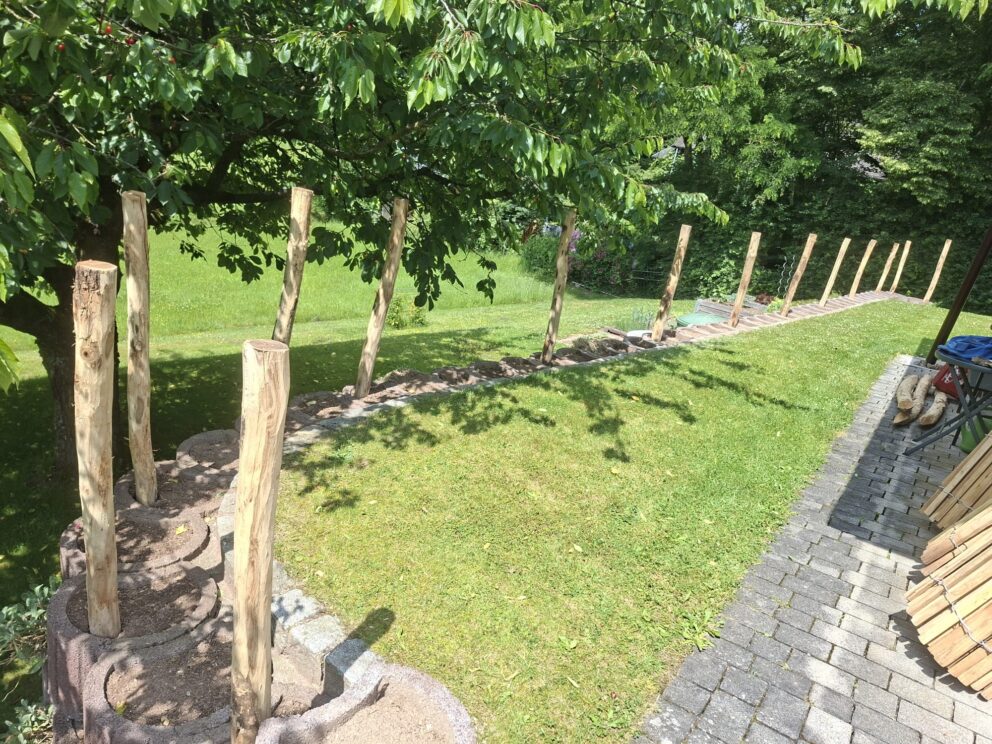 Im Bau - Staketenzaun Robinie 100 cm hoch, Lattenabstand 4 cm mit Robinien Pfost 160 cm Länge, Dürchmesser 8/10 cm