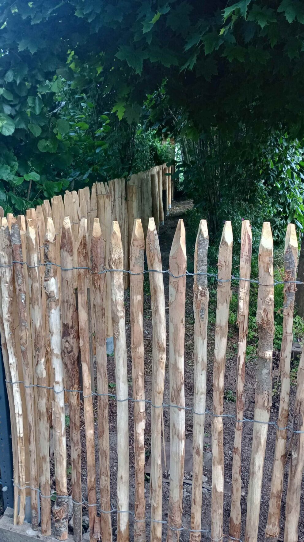 Zaunpfahl 7-9 120 cm Länge für Bodenhülse, Bodenhülse / Einschlaghülse, Edelstahl Schrauben 4,5x60, pro 100 Stück und Fr. Staketenzaun Kastanien 120 cm hoch, Abstand 2 cm, 2x 5m Rolle