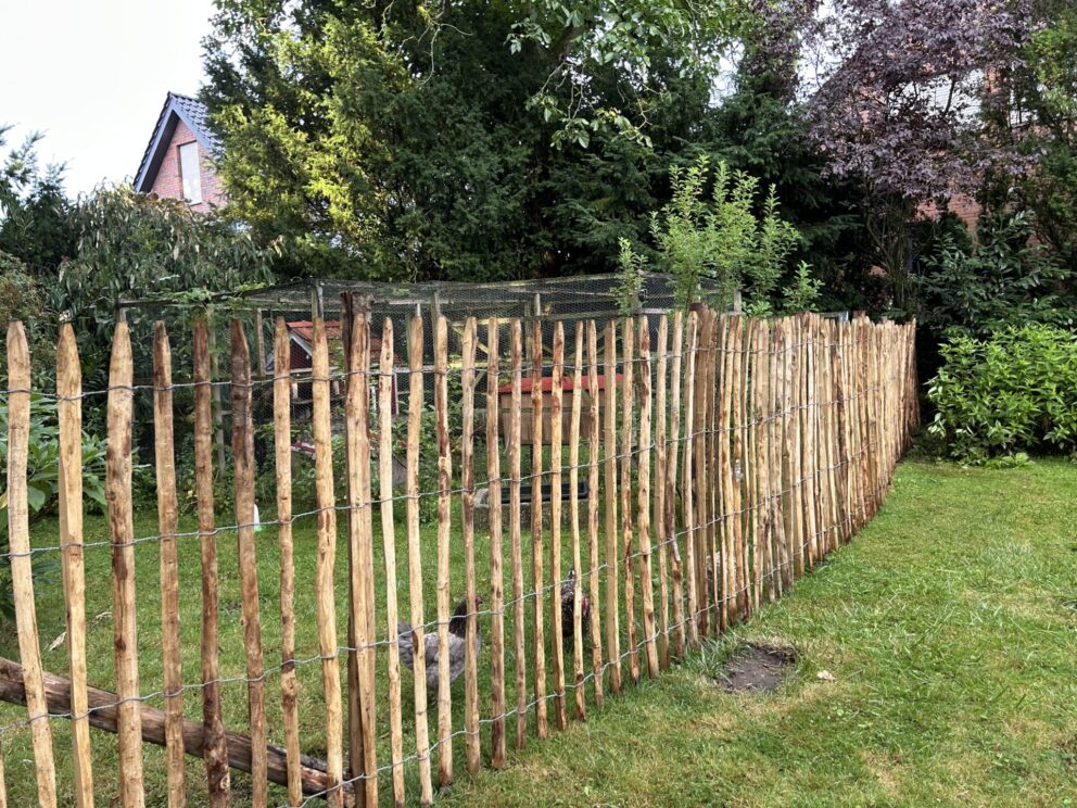 Fr. Staketenzaun Kastanien 150 cm hoch, Abstand 6 cm, 2x 5m Rolle, Kastanien Pfost 250 cm lang, Ø 7-9 cm - mit Spitze, Zaun für Hühner