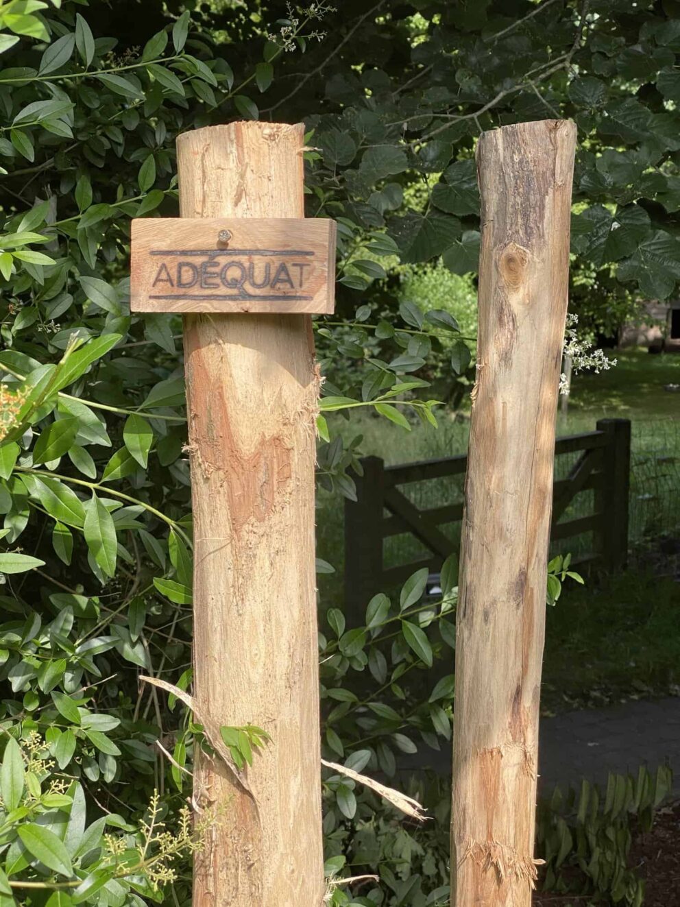 Geschälter Robinienstamm 300 cm lang, 8-10 cm Durchmesser