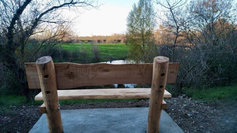 Holzbank bauen Gartenbank Holz