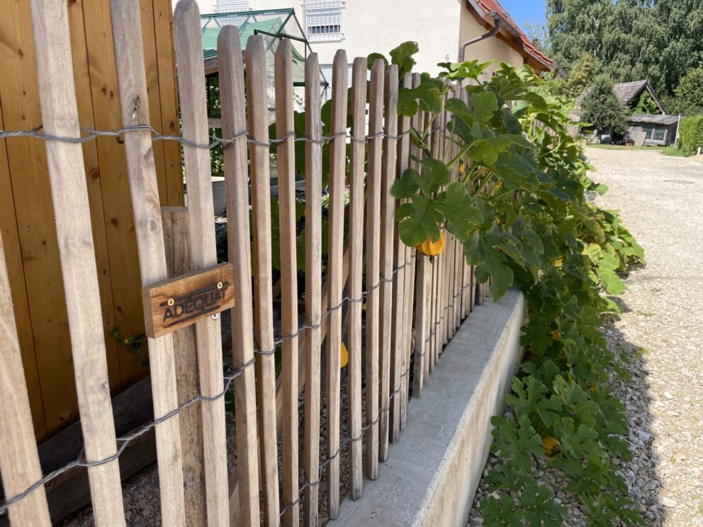 Mauer-Zaun Kombination: Robinienzaun auf Steinmauer (Staketenzaun Robinie 100 cm hoch, Lattenabstand 4 cm)