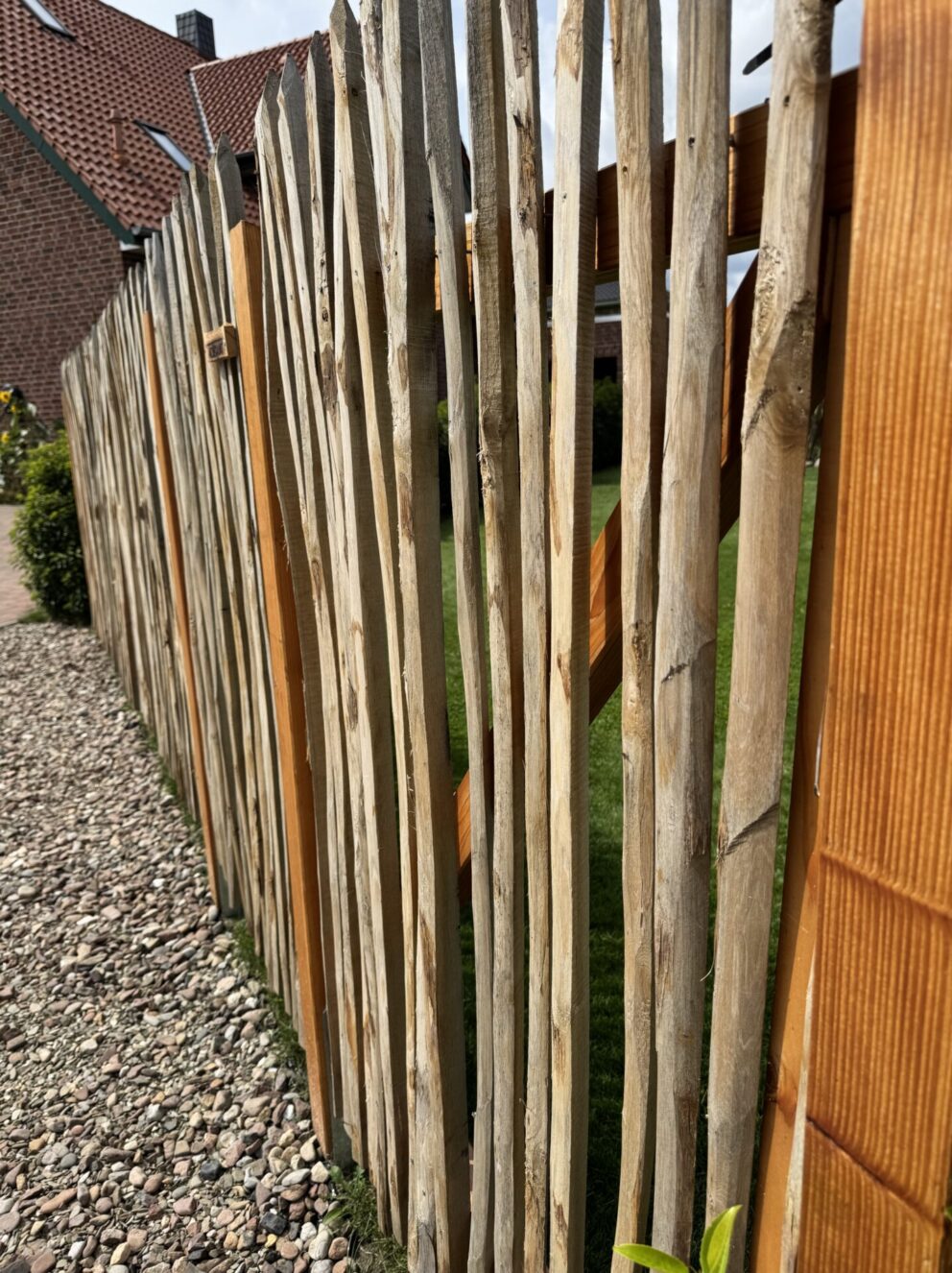 Einzelne Stakete 150 cm lang, ¼ Stakete gespitzt