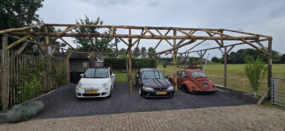 Kastanienholz Verwendung Carport