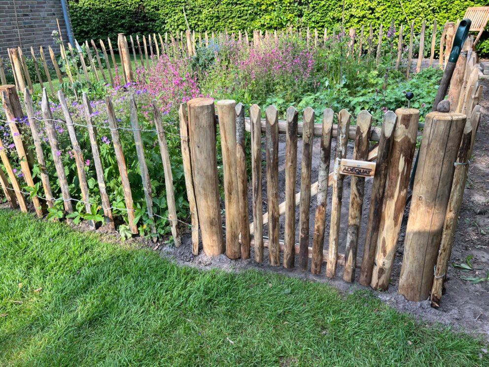 Staketenzauntor 80 cm hoch, 80 cm breit, Staketenzaun 80 cm hoch, 10 cm Lattenabstand
