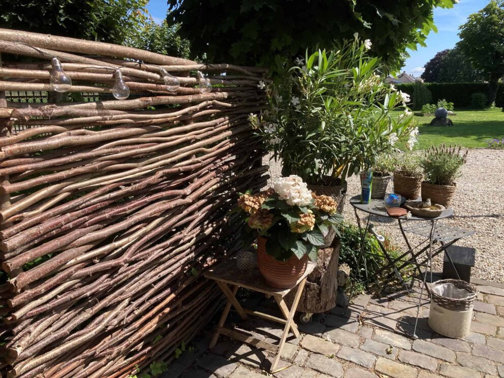 Mediterraner Garten Sichtschutz