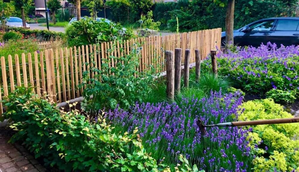 Mediterraner Garten Zaun