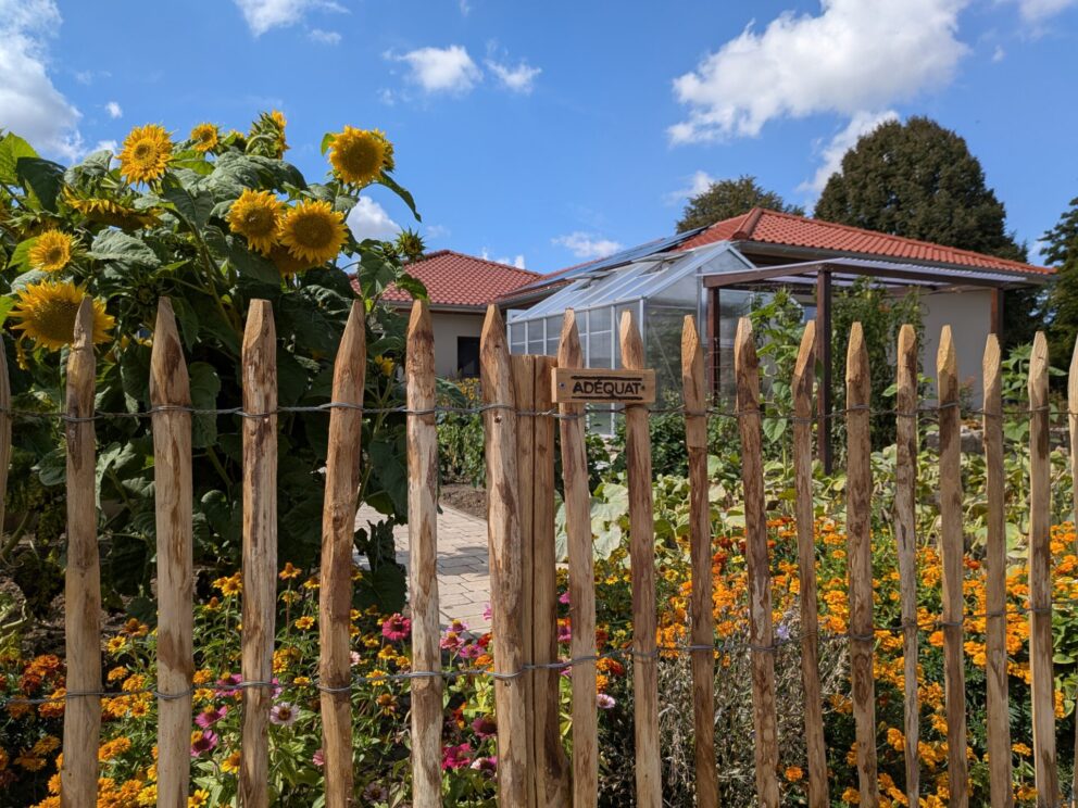 Fr. Staketenzaun Kastanien 100 cm hoch, Abstand 6 cm, 10m Rolle, Zaunpfahl 7-9 100 cm Länge für Bodenhülse