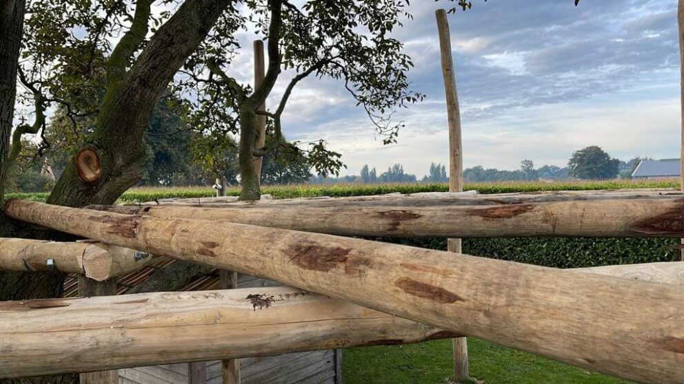 Runde Pergola rundum einen Baum