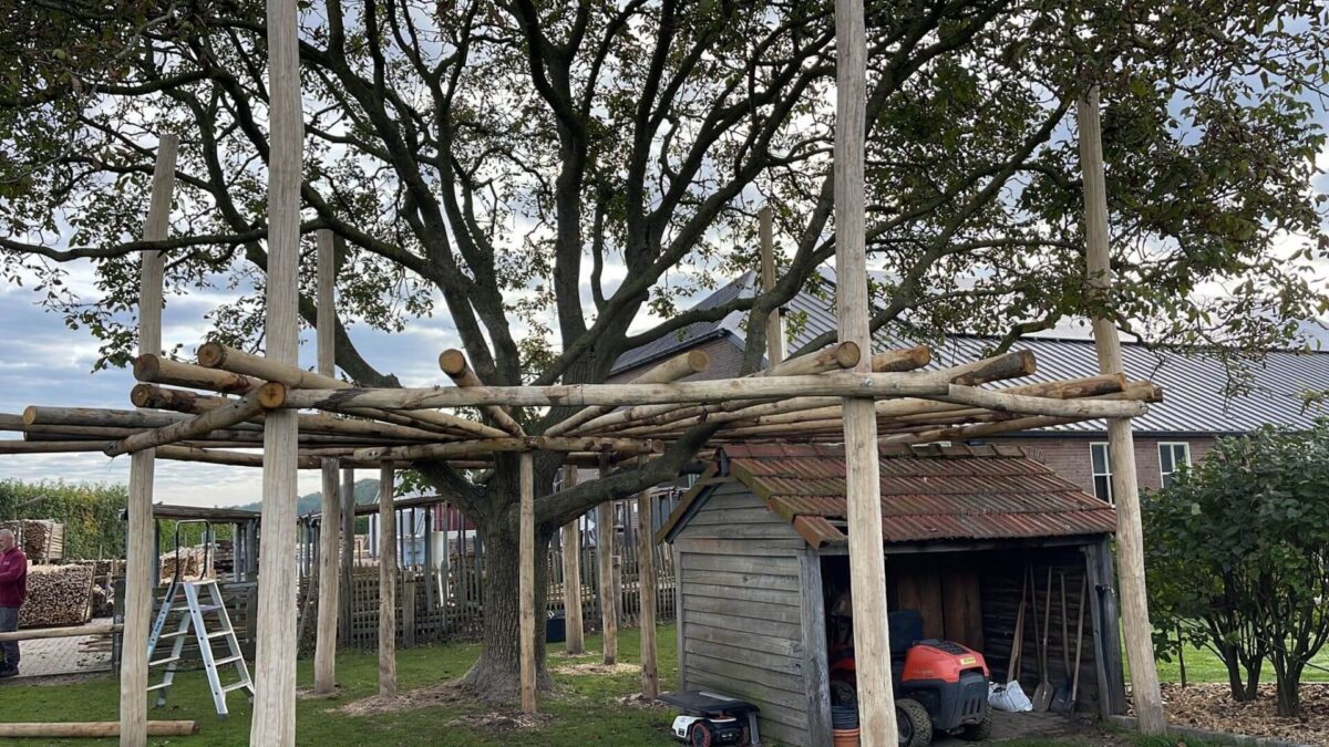 Runde Pergola aus Holz rundum einen Baum