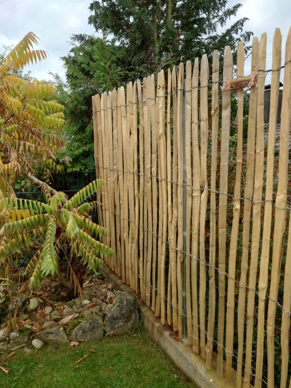 Fr. Staketenzaun Kastanien 175 cm hoch, Abstand 2 cm, 3m Rolle