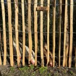 Fr. Staketenzaun Kastanien 100 cm hoch, Abstand 4 cm, 2x 5m, Kastanien Pfost 150/160 cm lang, Ø 7-9 cm - mit Spitze, Kastanien Pfost 175 cm lang, Ø 10-12 cm - mit Spitze, Staketenzauntor Kastanie einzeln 100Bx100H (cm), Staketenzauntor Kastanie einzeln 100Bx100H (cm)