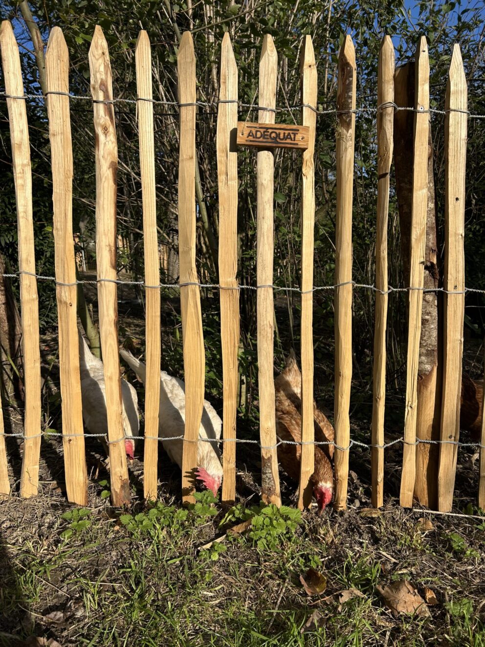 Fr. Staketenzaun Kastanien 100 cm hoch, Abstand 4 cm, 2x 5m, Kastanien Pfost 150/160 cm lang, Ø 7-9 cm - mit Spitze, Kastanien Pfost 175 cm lang, Ø 10-12 cm - mit Spitze, Staketenzauntor Kastanie einzeln 100Bx100H (cm), Staketenzauntor Kastanie einzeln 100Bx100H (cm)